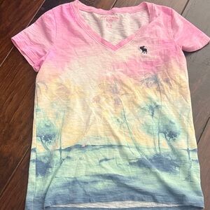 Abercrombie Kids V-Neck Pink and Blue Gradient Tee